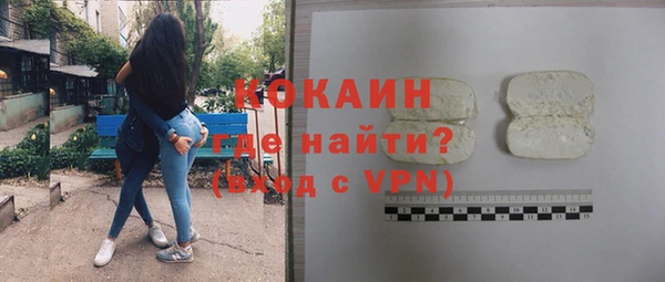 прущие грибы Богородск