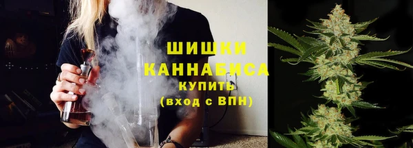 прущие грибы Богородск