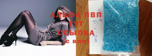 сатива Рославль