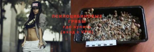 дурь Бронницы