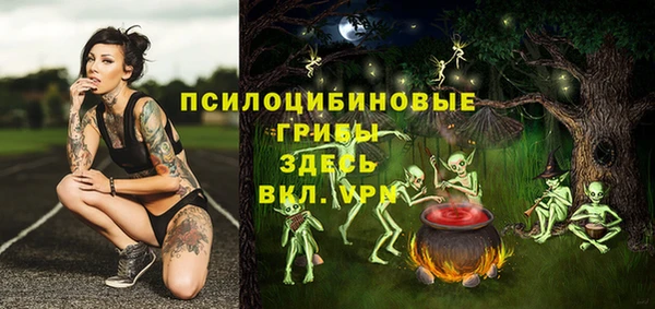тгк Богданович