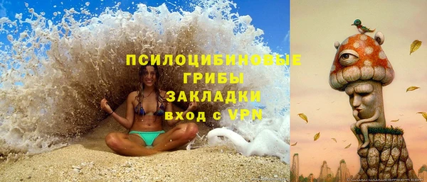 прущие грибы Богородск