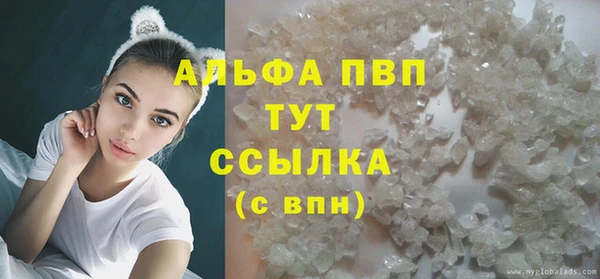 прущие грибы Богородск