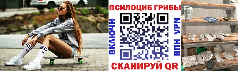 где купить   Первомайск  сайты даркнета состав  Псилоцибиновые грибы прущие грибы 